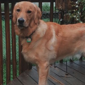 Meet your Posher, Sophia